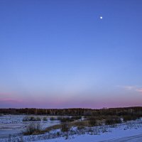 Зимний вечер :: оксана 