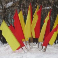 Флаги жёлтые и красные :: Дмитрий Никитин