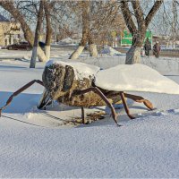 В ожидании весны... :: Александр Максимов