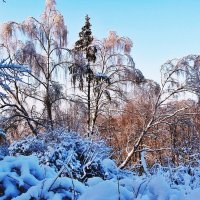 Снег выпал :: Евгений Кочуров