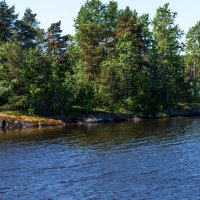 Берега Ладоги. :: Владимир Безбородов