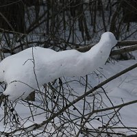 Сползает. :: Николай Масляев