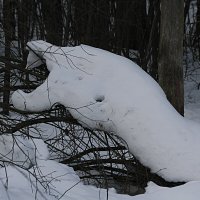 Снегоящер. :: Николай Масляев
