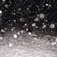 Снег идёт! :: Яков Реймер