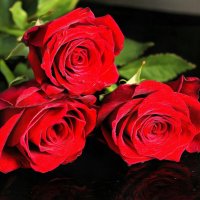 Красные розы :: Irene Irene