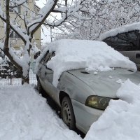 Много раз была в Краснодаре зимой, но такое количество снега здесь я видела впервые :: Татьяна Смоляниченко