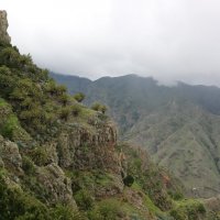 Туманы в горах Ла Гомеры :: Ольга 