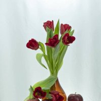 Тюльпаны на День Женщин :: Николай Чичерин