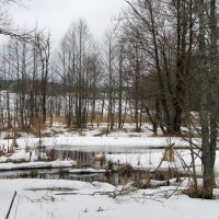 Ещё в полях белеет снег... :: Татьяна Гнездилова