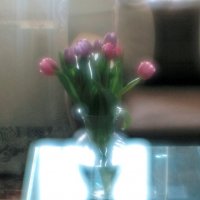 Тюльпаны :: Ахмед Овезмухаммедов