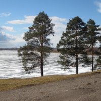 Ферапонтовское озеро. Вологодская область. :: ЛЮДМИЛА 