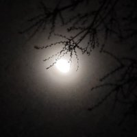 Луна сегодня Тирасполь :: Светлана Светлая