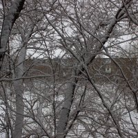Снежный пейзаж :: Светлана SvetNika17