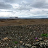 Iceland 56 :: Arturs Ancans
