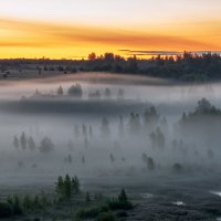 Туманное утро :: Виктор Желенговский