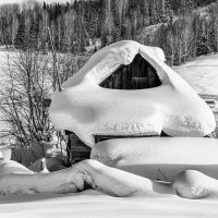 Скульптор-зима :: alteragen Абанин Г.