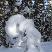 Завиток :: Евгений Тарасов 