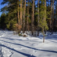 По солнечной тропинке (в Париж) :: Валерий VRN