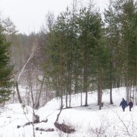 Лесная прогулка в марте :: Raduzka (Надежда Веркина)