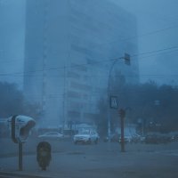 Ежик в тумане :: Константин Савельев 