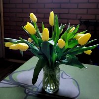 Жёлтые тюльпаны :: Татьяна Степанова