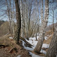 весна :: Владимир Холодницкий