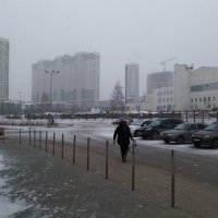 За снежной пеленой :: Galina Solovova