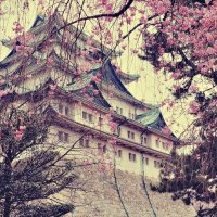 Сакура и "Замок Нагоя" Нагоя Япония :: wea *