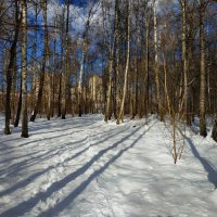 Апрель, однако! :: Андрей Лукьянов