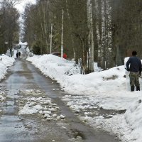 Дачные зарисовки. :: Ольга Довженко