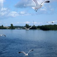 На Онежском озере :: Надежда 
