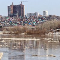 Ледоход на реке Белая (Агидель) :: Nina Karyuk