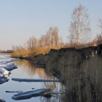 Апрельский берег Иртыша. :: сергей 