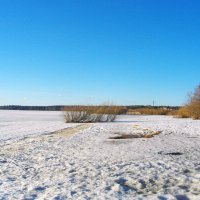 Холодная весна 2022 года. Берег Финского залива, пляж. :: Лия ☼