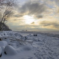 Пейзаж зимы :: Андрей Бобин