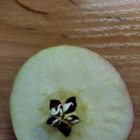 Разрезала яблочко, а там..... :: Ирина Соловьёва