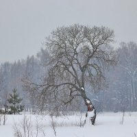 Зимний пейзаж с одинокой ивой. :: Сергей Пиголкин