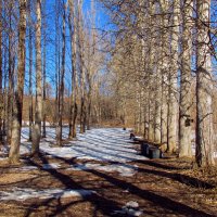 Аллея. :: Татаурова Лариса 