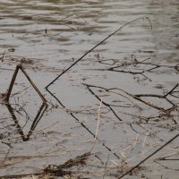 Геометрия на водк :: Илья 