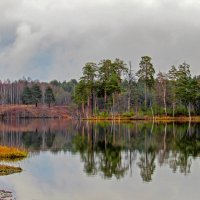 Озеро Силанде. Лен. обл. :: Любовь Зинченко 