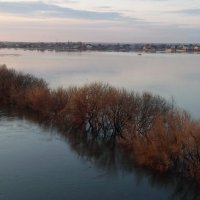 Река Ока 23 апреля :: Galina Solovova