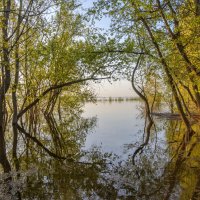 Время половодья :: Александр 