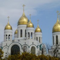 Купола кафедрального собора Христа Спасителя в Калининграде :: Наиля 