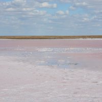 Розовые озера Калмыкии :: Леонид Иванчук