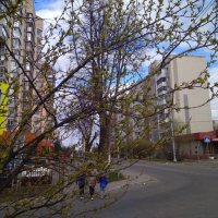 Весна «проклюнулась»... :: Михаил Андреев