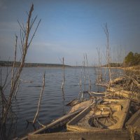 Утро на озере. :: Вадим Басов