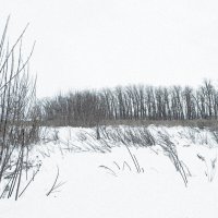 Picture winter :: Юлия Денискина