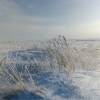 Зимняя картинка степи :: Андрей Хлопонин