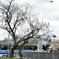 Голуби на Сухаревской площади. :: Татьяна Помогалова