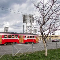 Экскурсионный трамвайчик :: Любовь Зинченко 